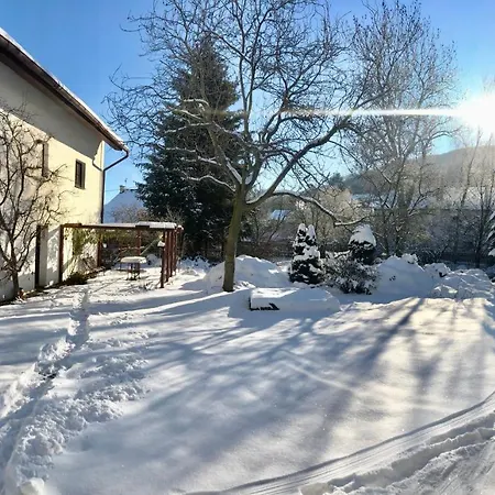 Pokoje V Chalupe Pod Milesovkou Velemin Exterior photo