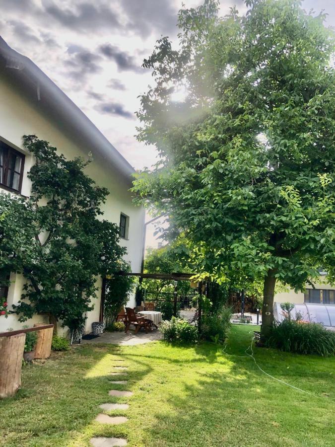 V Chalupe Pod Milesovkou Homestay Velemin